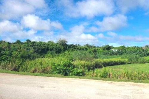 Central Barrigada Land Opportunity 3,205± SqM